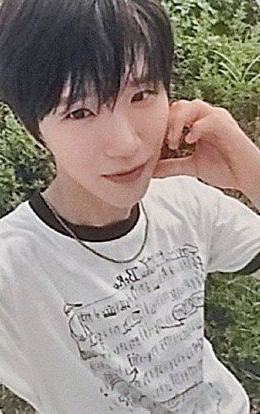 sw预售4