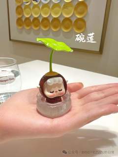 水培碗莲
