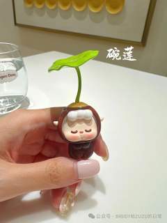 水培碗莲-资料图