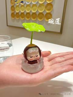 水培碗莲-资料图