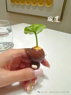 水培碗莲-资料图
