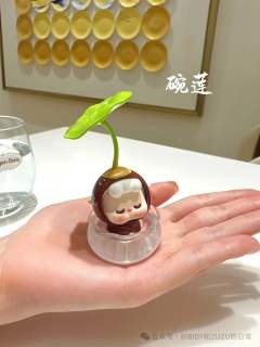 水培碗莲-资料图