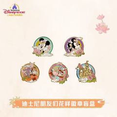 玲娜贝儿-上迪花样徽章盲盒-资料图