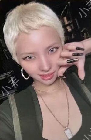 q音臻享卡 娟