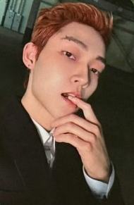 mb预售 文