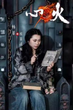 杨菲