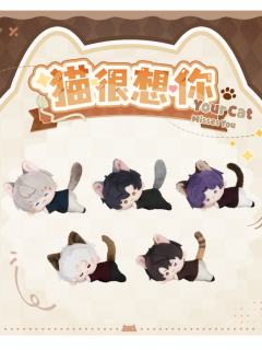 猫很想你系列磁吸毛绒娃娃