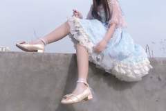 雪绒花 JSK-资料图