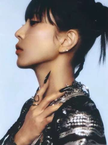 step back周边贴纸包 boa
