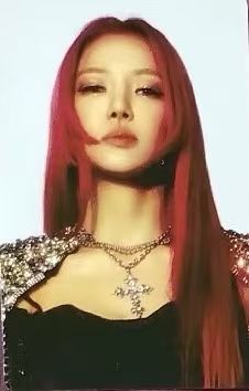 step back周边贴纸包 渊