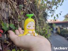 老实巴蕉嘟-资料图