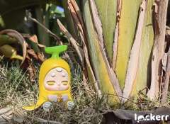 老实巴蕉嘟-资料图