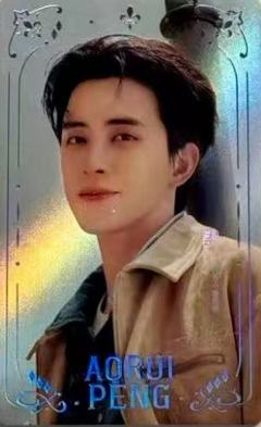 帕拉丁代言卡 ver.E