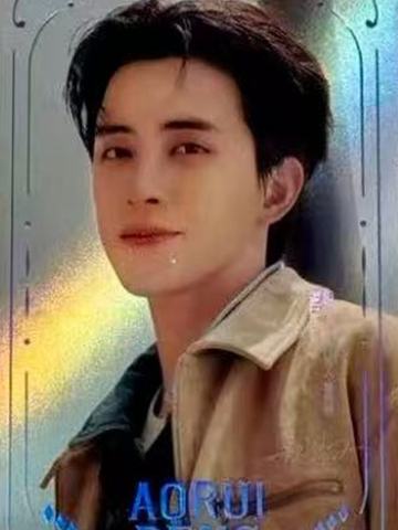 帕拉丁代言卡 ver.E