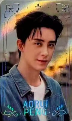 帕拉丁代言卡 ver.D