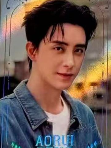 帕拉丁代言卡 ver.D