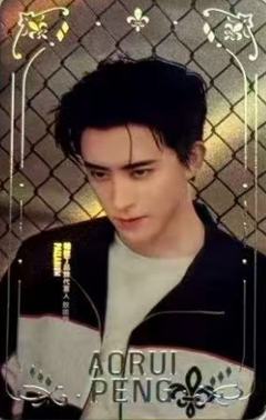 帕拉丁代言卡 ver.A