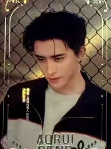帕拉丁代言卡 ver.A