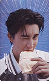帕拉丁代言卡 ver.F
