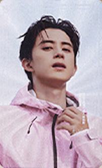 帕拉丁代言卡 ver.G
