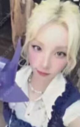 mr预售 ver.A