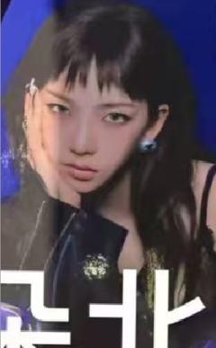 纽约快闪钱包卡 柚