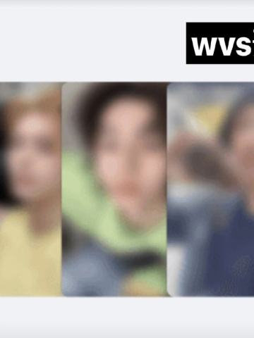wvs预售