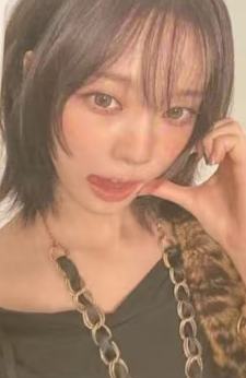 日巡满额卡 冬 ver.A