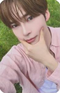 wm预售2 ver.B