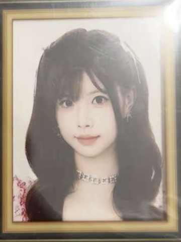 白佳媛 modern flash春季冰箱贴