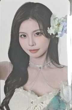 申雨鑫 25青春盛典场限纪念小卡 ver.B