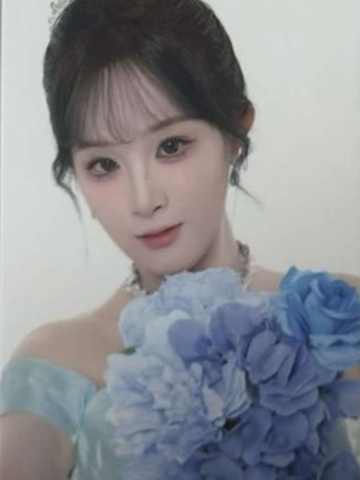 梅思华 25青春盛典场限纪念小卡 ver.C