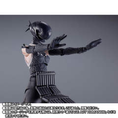 SHF 波姆-资料图