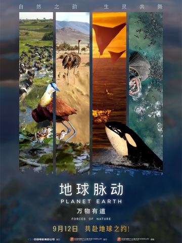 地球脉动：万物有道