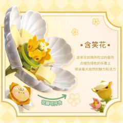 含笑花留声机-资料图