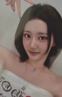 塔店预售3