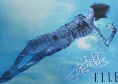 elle8月刊明信片