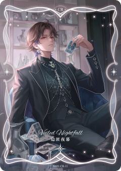 瑞因·隐匿夜幕