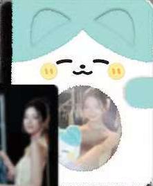 快闪毛绒卡册 粒