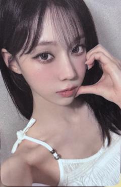 el签售 冬