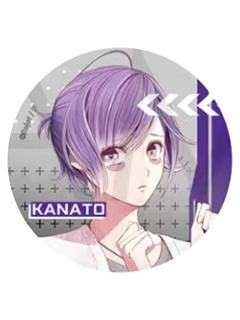 逆卷奏人(闪)-2021fes普闪吧唧