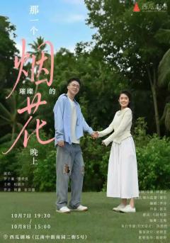 那一个烟花璀璨的晚上-资料图