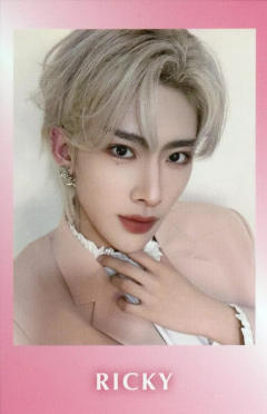 日本fancon e赏拍立得4