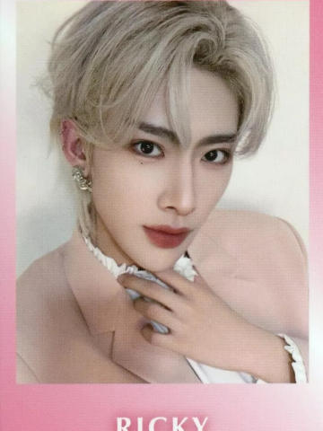 日本fancon e赏拍立得4