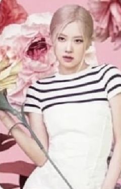 bptg迷你世界固配 肉 ver.C