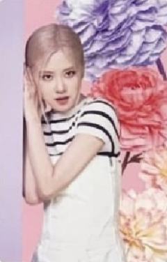 bptg迷你世界固配 肉 ver.D