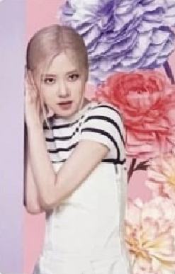 bptg迷你世界固配 肉 ver.D