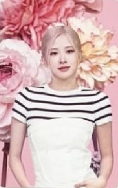 bptg迷你世界固配 肉 ver.B