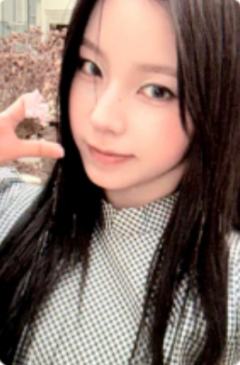 valentine版专卡7 ver.A