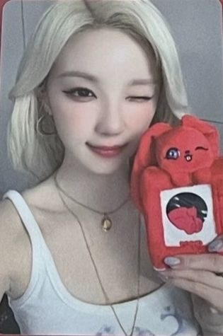 毛绒照片卡套钥匙环卡(眨眼款)